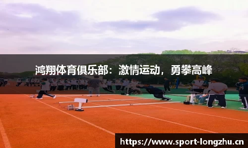 龙珠体育官网