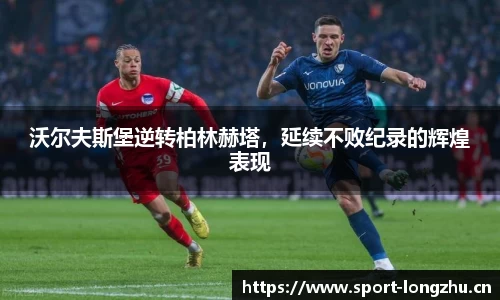 龙珠体育官网