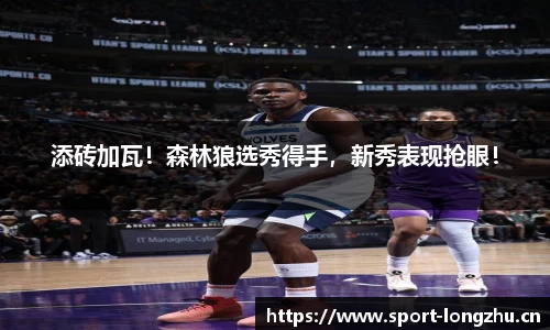 龙珠体育官方网站