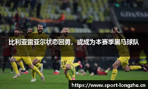 龙珠体育平台