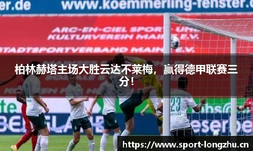 龙珠体育平台