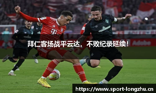 龙珠体育官网