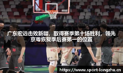龙珠体育官网