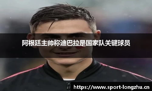 龙珠体育