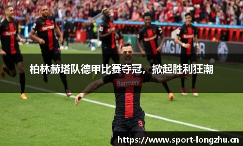 龙珠体育平台