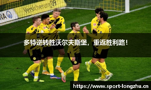 龙珠体育平台