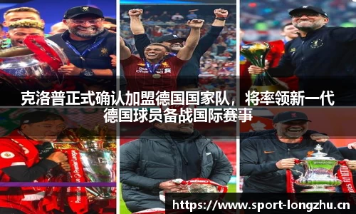 龙珠体育平台