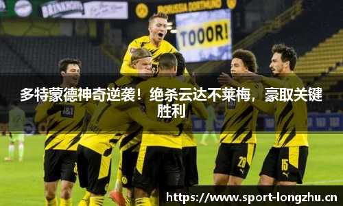 龙珠体育官网
