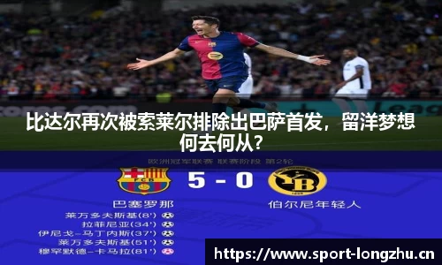 龙珠体育