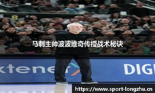 龙珠体育