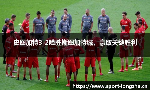 龙珠体育