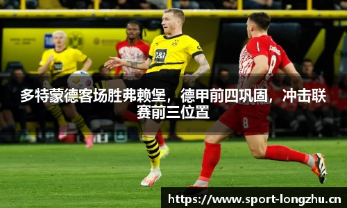 龙珠体育