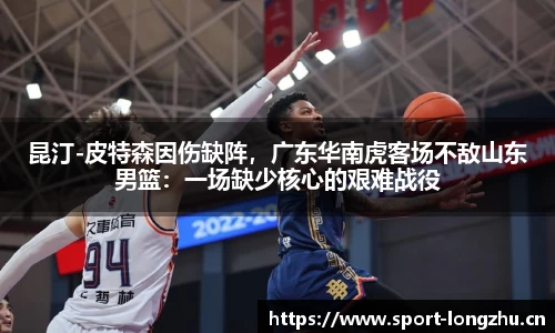 龙珠体育