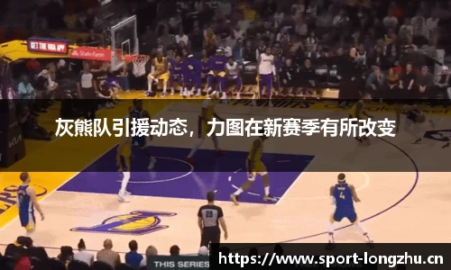 龙珠体育