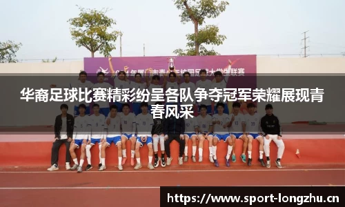 龙珠体育官网
