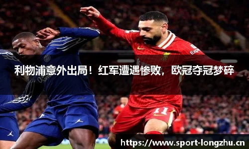 龙珠体育