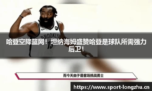 龙珠体育