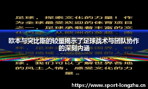 龙珠体育