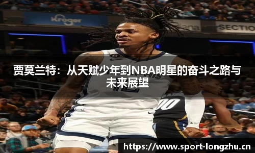 龙珠体育官方网站