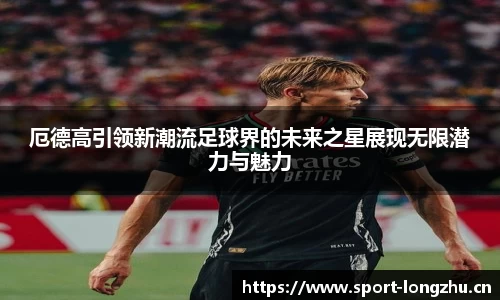 龙珠体育官网