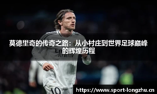 龙珠体育官网