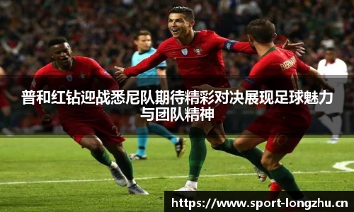 龙珠体育官网